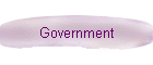 Government