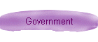 Government